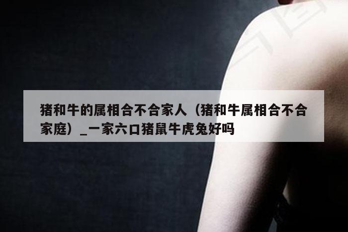 猪和牛的属相合不合家人(猪和牛属相合不合家庭)_一家六口猪鼠牛虎兔好吗